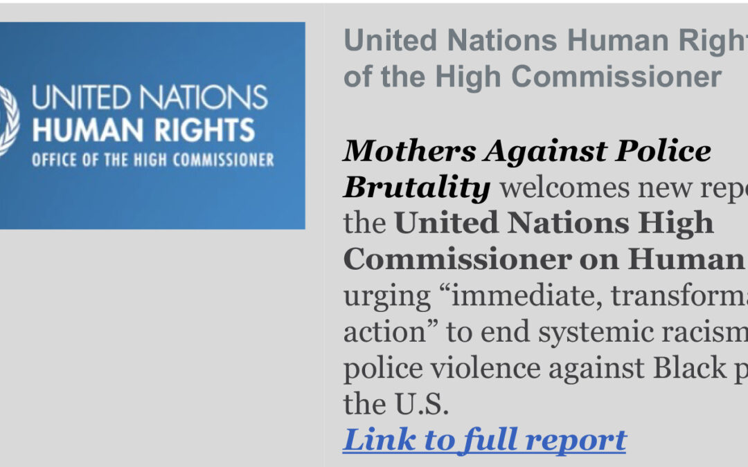 Report from the United Nations High Commissioner on Human Rights